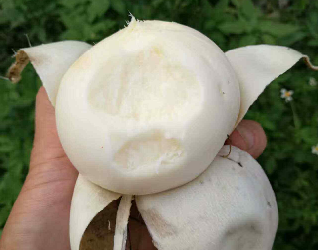 的付出是