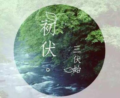 三伏天要遵守“四纪律”