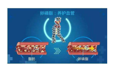 1128沸点医药招商网卵磷脂软胶囊销售话术