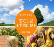 微信截图_20220416202536