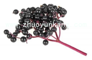 微信截图_20220426181431