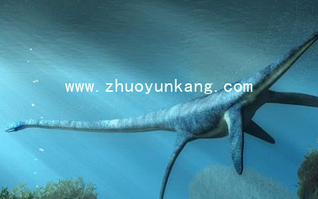 海洋生物