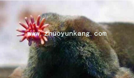 QQ截图20220512000347
