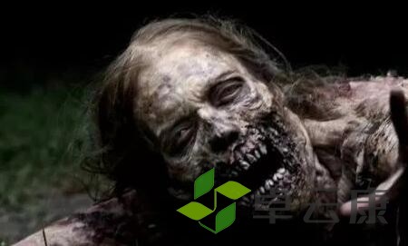 讲解