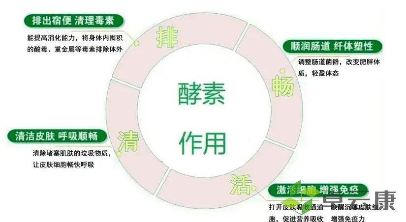 酵素