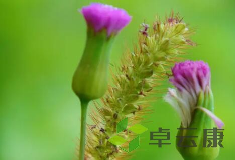风景6