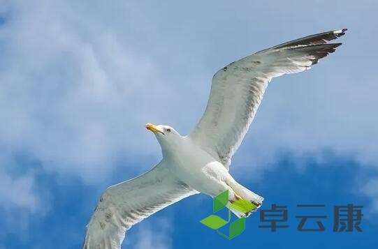 风景1