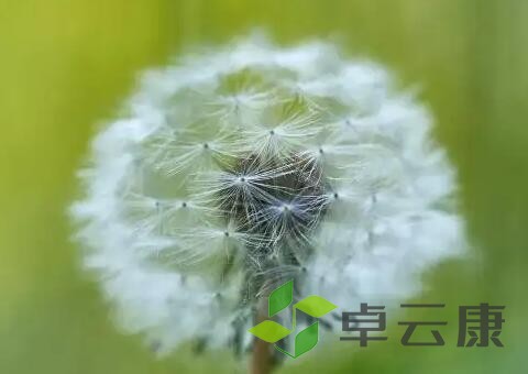 风景3