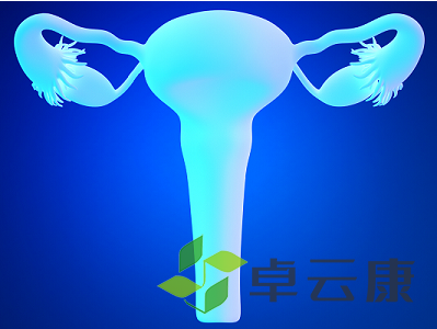 微信截图_20221201131852