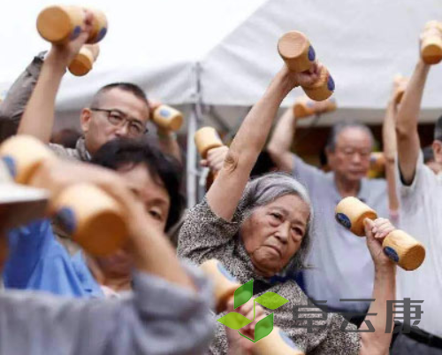 QQ截图20221201154953