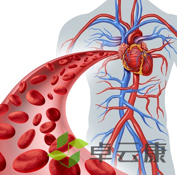 微信截图_20221201131852