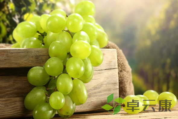 微信截图_20221202142220