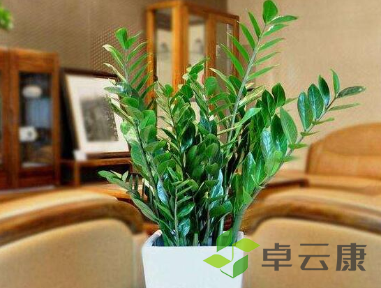 微信截图_20221202172428