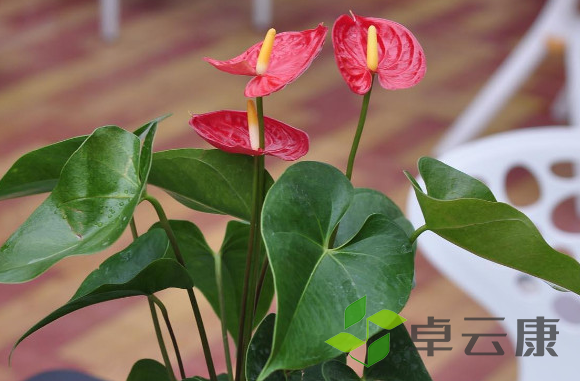 微信截图_20221202175532