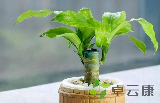 微信截图_20221202185956