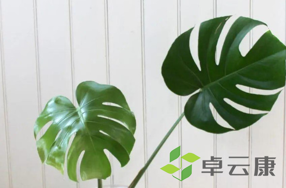 微信截图_20221202193248