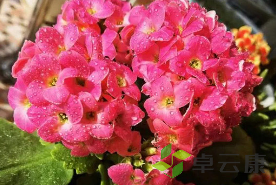 微信截图_20221202201959
