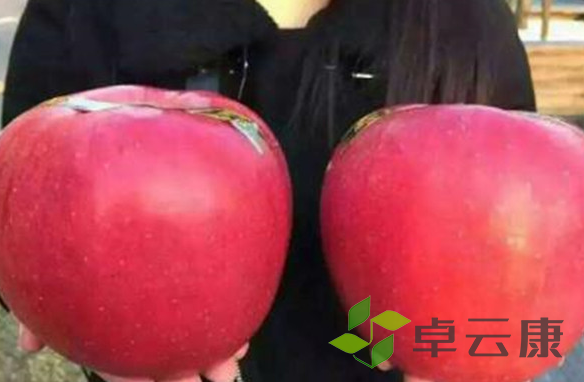 微信截图_20221202213841