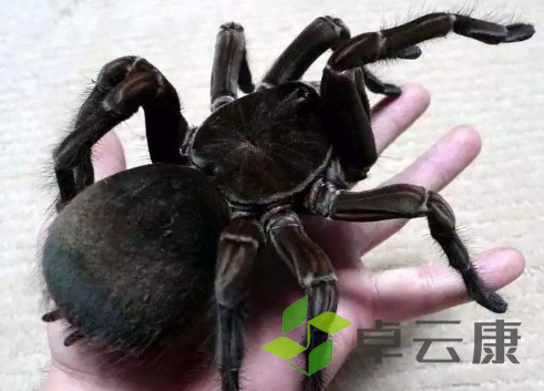 QQ截图20221202223520