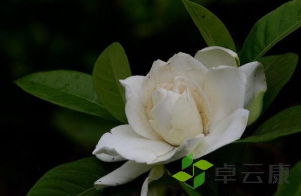 360截图20221202225026886