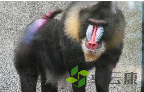 QQ截图20221202225737