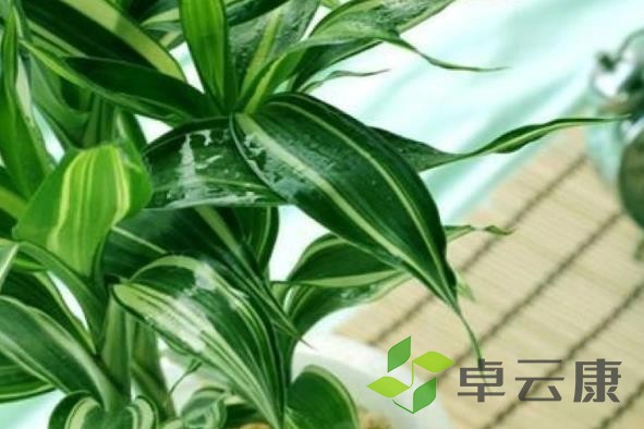 360截图20221202230354371