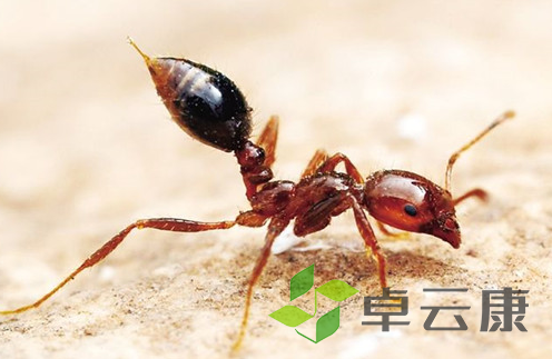 QQ截图20221202232104