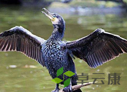 QQ截图20221202232719