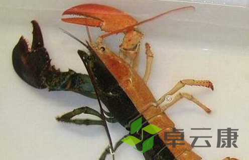 QQ截图20221202232949
