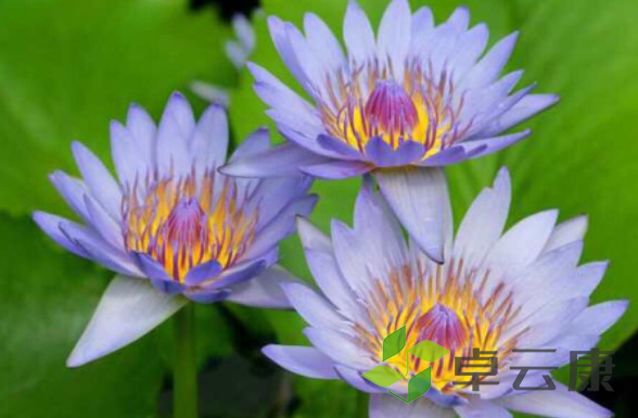 微信截图_20221202233014