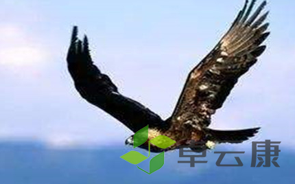 QQ截图20221202233432