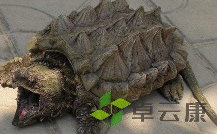 QQ截图20221203091836