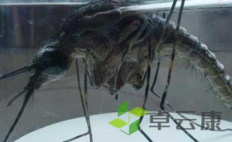 QQ截图20221203103833