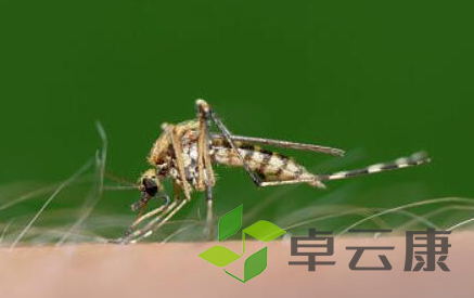QQ截图20221203111541