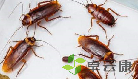 QQ截图20221203113629