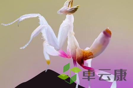 QQ截图20221203114011