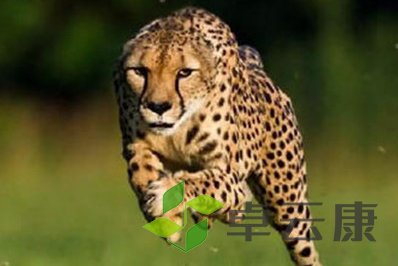 QQ截图20221203115021
