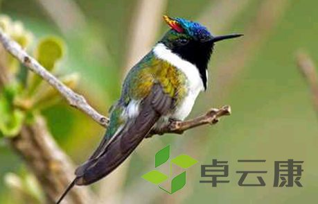 QQ截图20221203151051