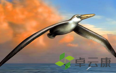 QQ截图20221203153201
