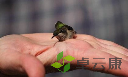 QQ截图20221203154230