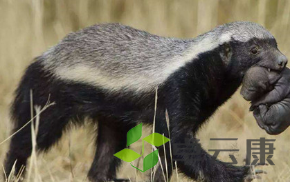 QQ截图20221203160940