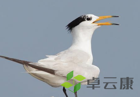 QQ截图20221203162031