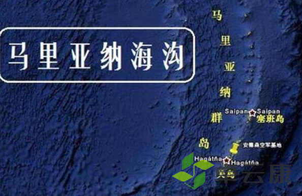 微信截图_20221203164020