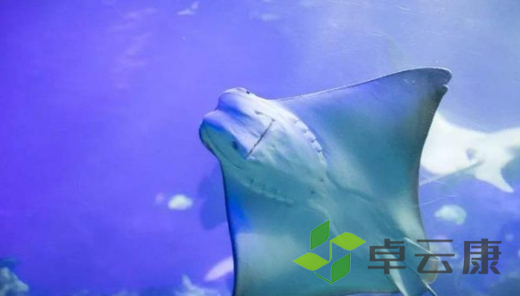 微信截图_20221203182451