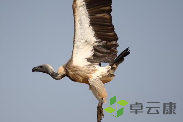 微信截图_20221203184834