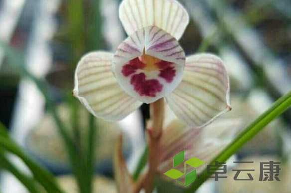 微信截图_20221203193430