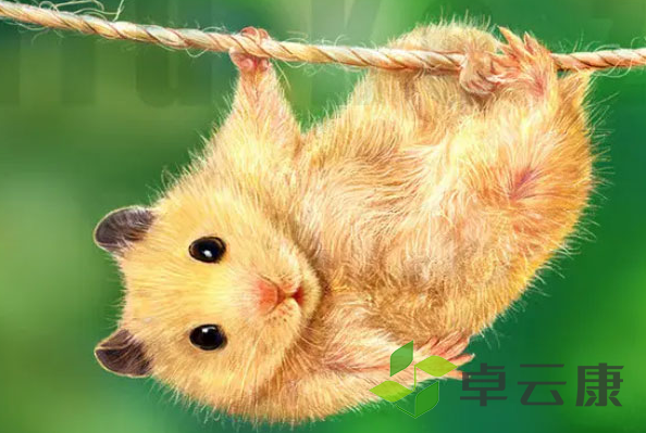 微信截图_20221203193652