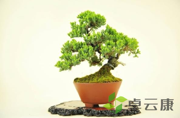360截图20221203203709043