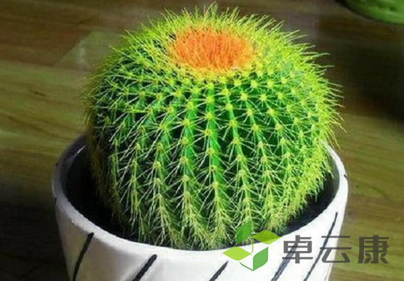微信截图_20221203204056