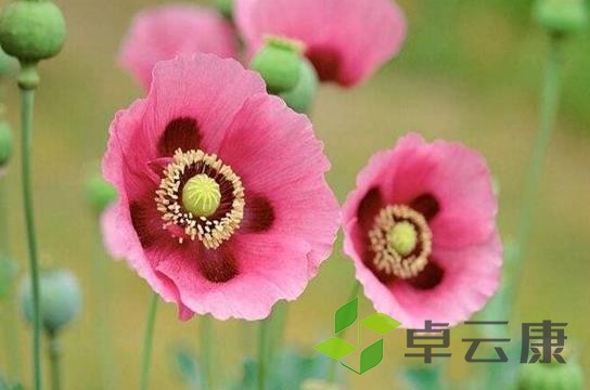 360截图20221203204234373